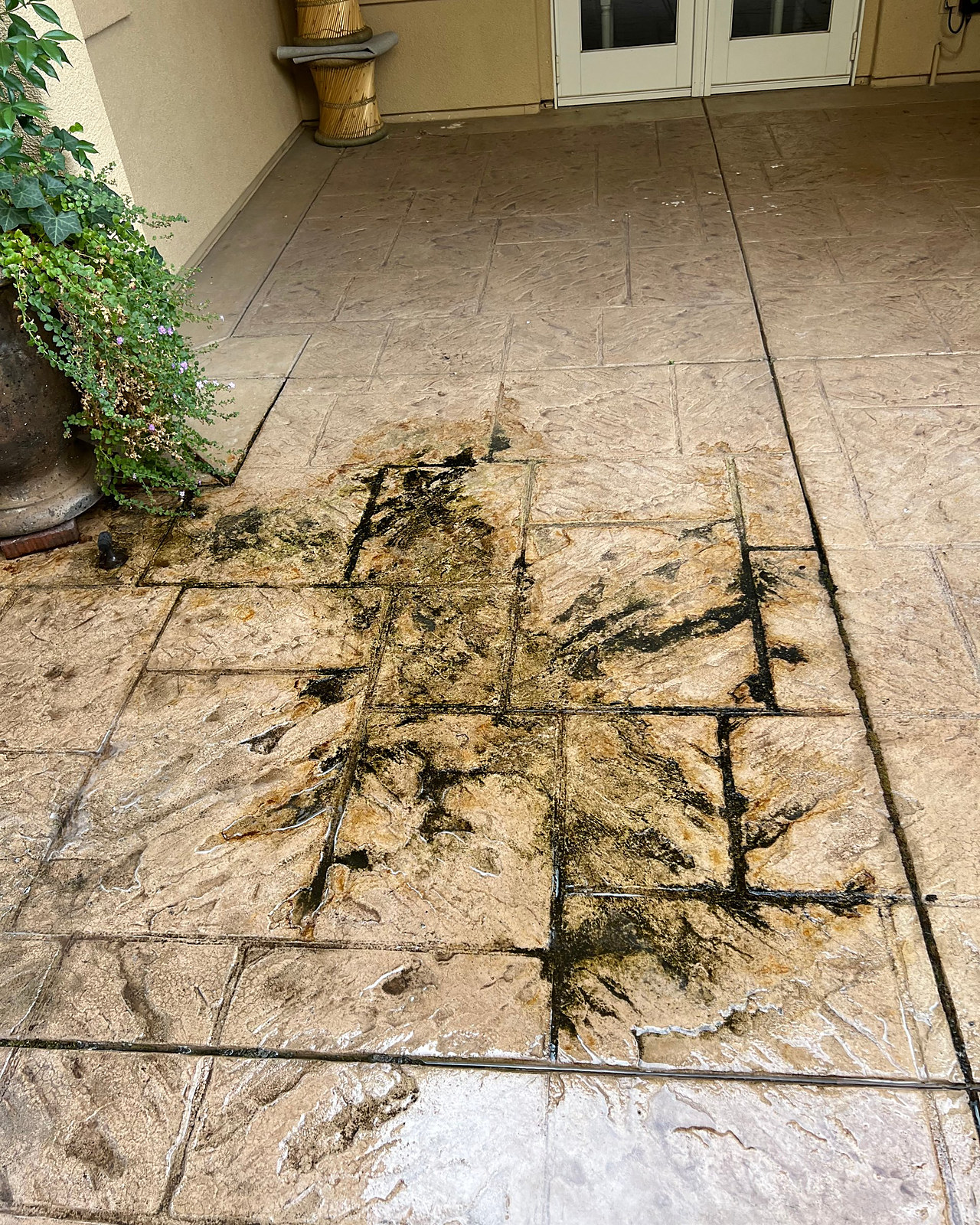Stamped concrete patio, before cleaning