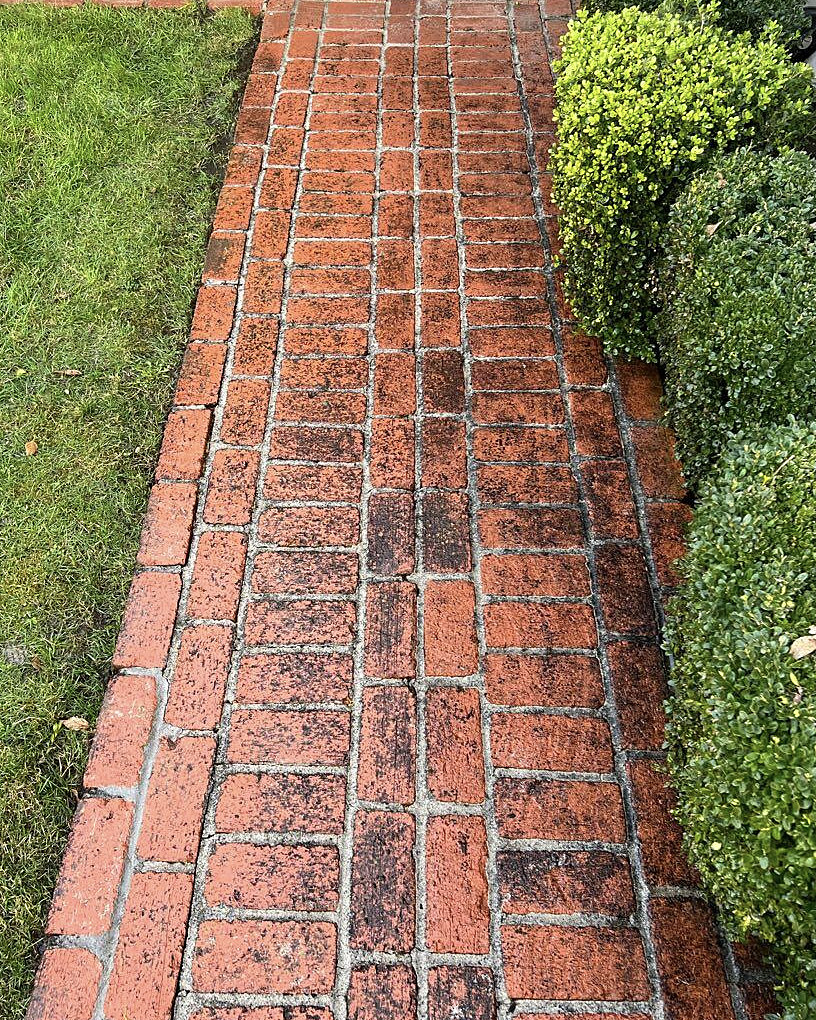 Brick walkway after pressure washing
